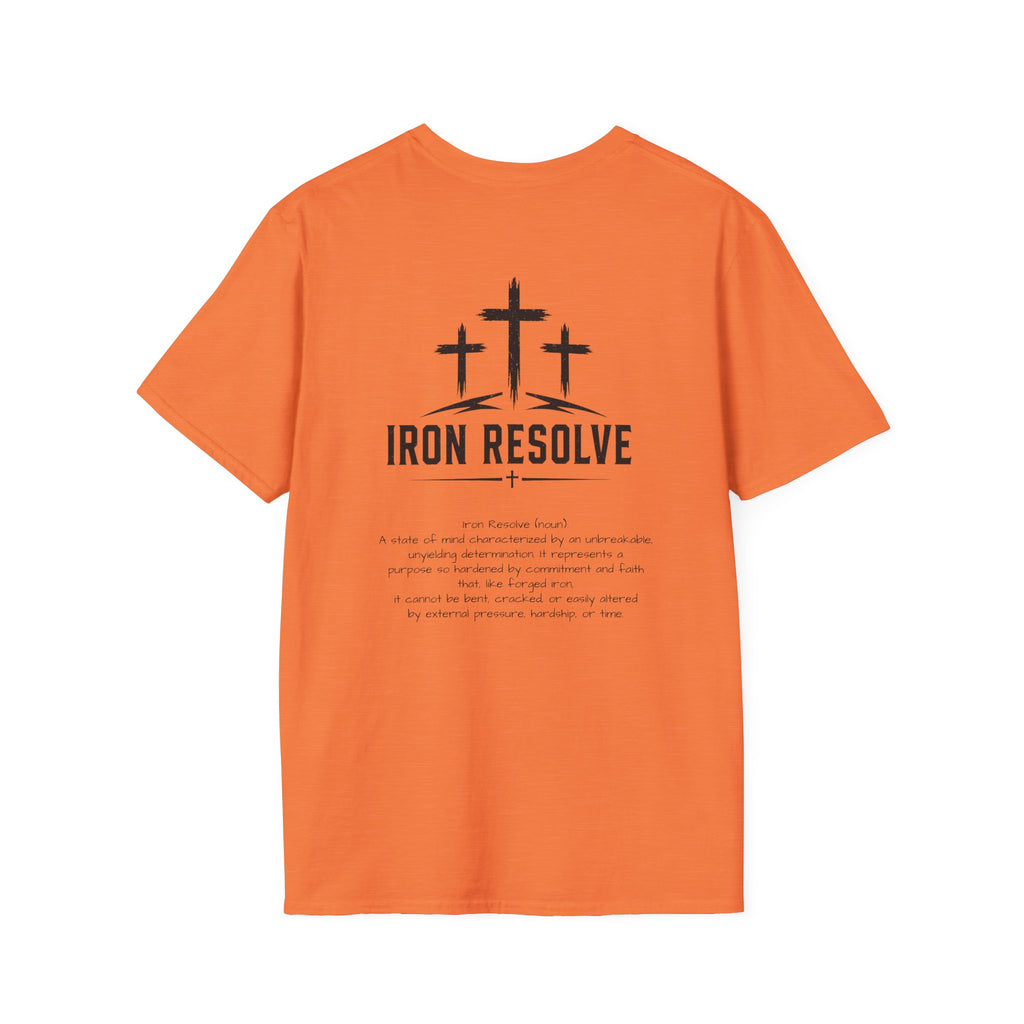 Iron Resolved defined